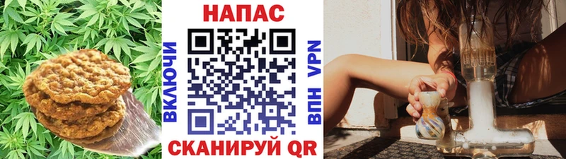 Еда ТГК конопля  ссылка на мегу как зайти  Ржев 