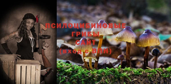 МДПВ Абаза