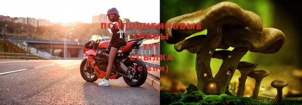 МДПВ Абаза