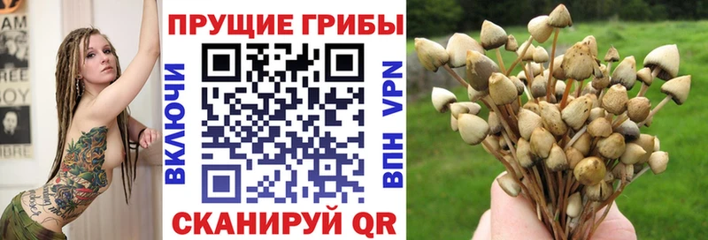 Галлюциногенные грибы прущие грибы Ржев