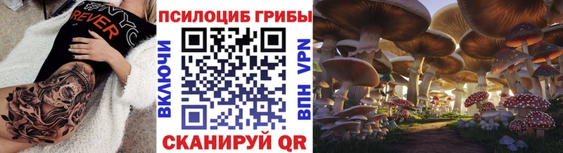 наркотики Ржев Псилоцибиновые грибы мицелий